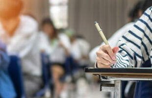 The Benefits of Pursuing Higher Education and the Role of Fake College and University Degrees in Motivation