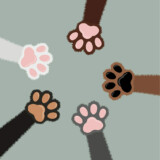Salt & Pepper Pawz