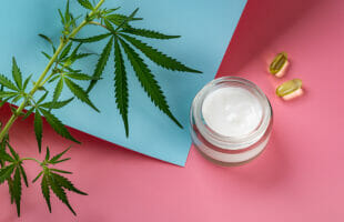 A Guide On CBD Topicals For Skin Irritation Dogs