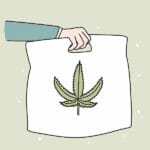 Discover the Power of Weed Delivery Services Marijuana Delivery And Distribution Concept. Hand Of Courier Hol