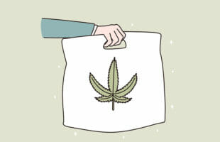 Discover the Power of Weed Delivery Services