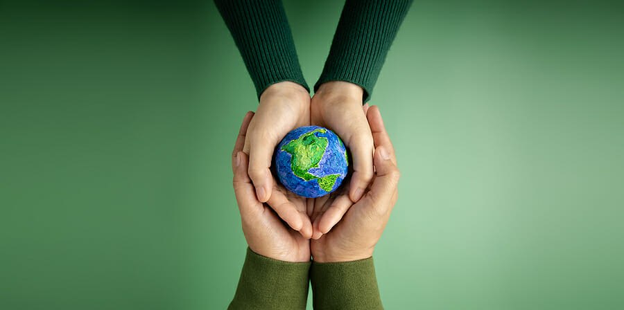 Eco-Friendly Solutions For Your Business Needs