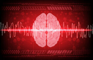 The “Comedown” Protocol: Why Your Brain Craves Loops After the Hype