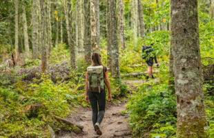 4 Cozy Fall Activities for Your Next Night In