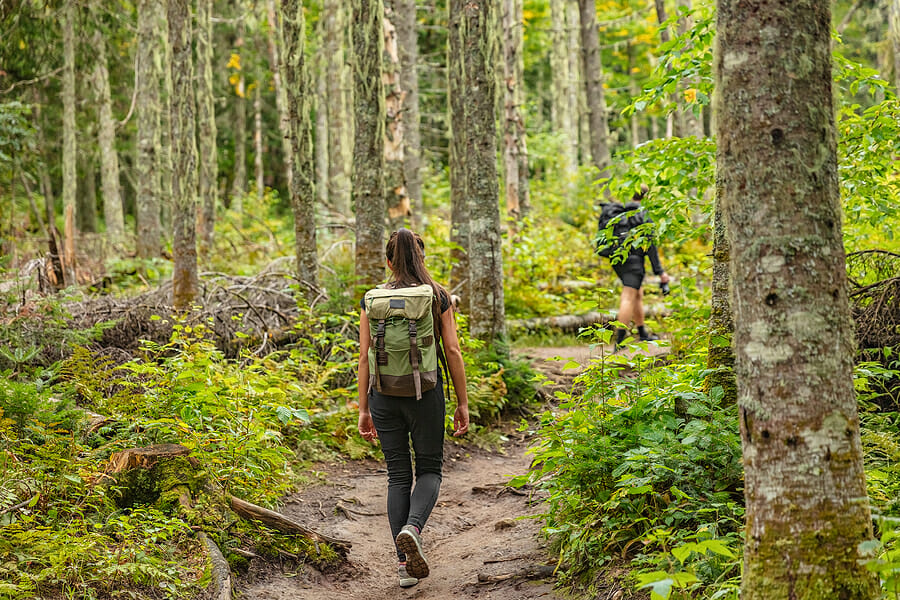 4 Cozy Fall Activities for Your Next Night In