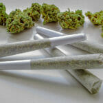 Are THC-O Pre Rolls Worth Trying For Migraine Pain? Several Pre-rolls Of Medicinal Cannabis With Flower Cannabis On