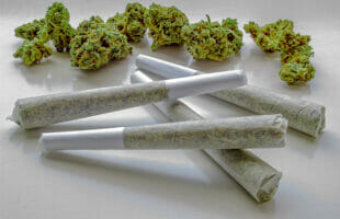 Are THC-O Pre Rolls Worth Trying For Migraine Pain?