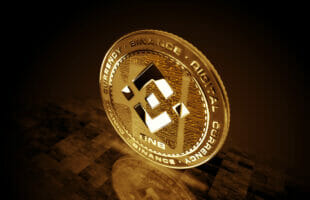 Binance Coin: The Doorway To a Profitable Future