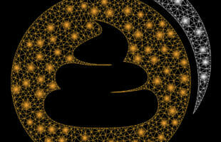 Shitcoin: Everything You Need to Know