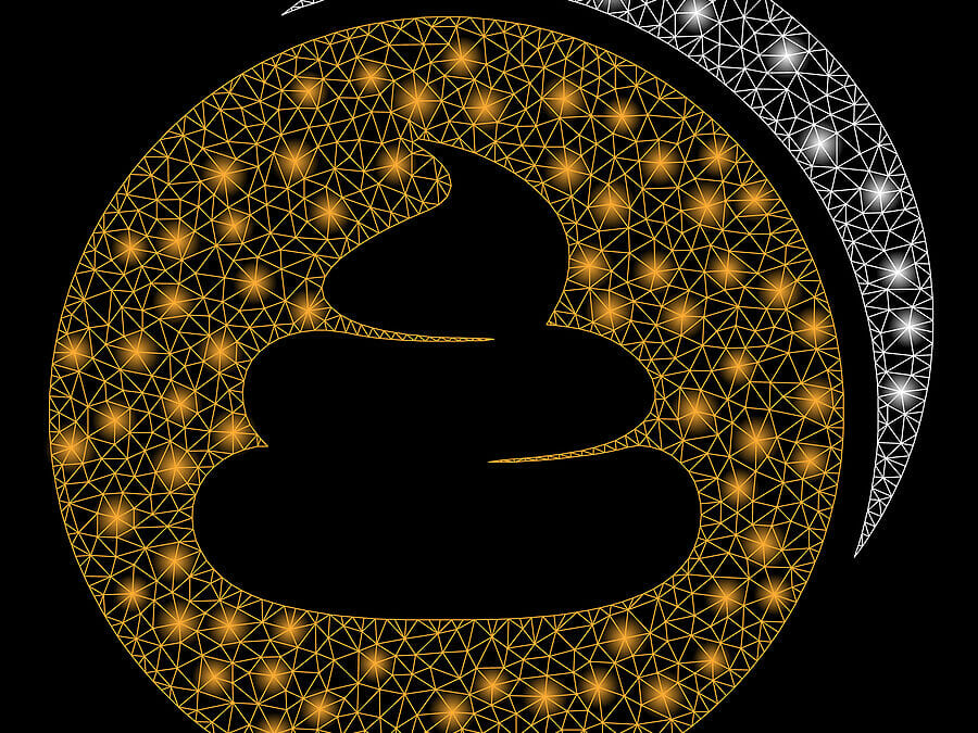 Shitcoin: Everything You Need to Know