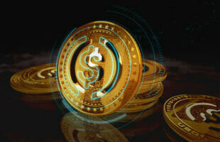 Top Stablecoin Staking Places