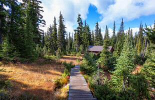 What Do Whistler Residents Do for Fun?