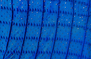Moroccan Berber Rugs: A Guide to their Beauty, History, and Significance