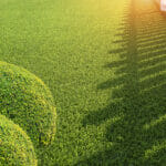 5 Types Of Artificial Turf Best For Households With Kids And Pets Decorative Round Shrubs On Green Artificial Turf And White Woode