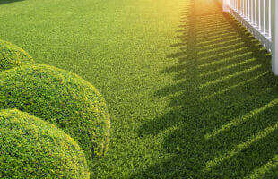 5 Types Of Artificial Turf Best For Households With Kids And Pets