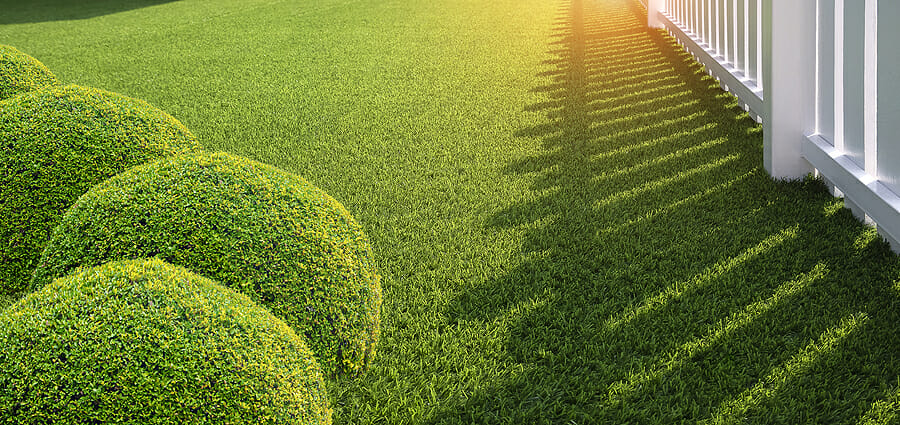 5 Types Of Artificial Turf Best For Households With Kids And Pets
