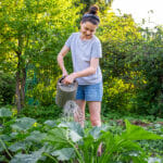 Gardening Agriculture Concept. Woman Gardener Farm Worker Holdin