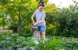 The Best and Hardiest Plants for Newbie Gardeners