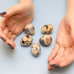 What Is the Best Way to Incubate Quail Hatching Eggs?