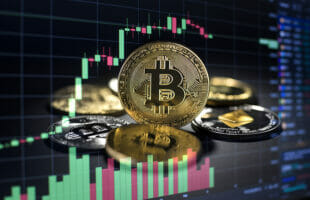 Exploring the Fusion of Cryptocurrency and Unusual Online Treasures