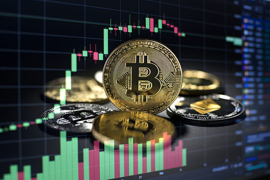 Exploring the Fusion of Cryptocurrency and Unusual Online Treasures
