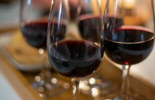 Visit a Winery for an Interesting Change of Pace