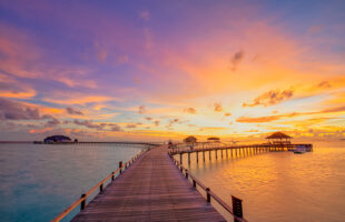 How to Find the Best Yacht Charter in the Maldives for Your Budget