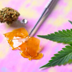 Macro detail of dab tool with cannabis concentrate aka shatter a
