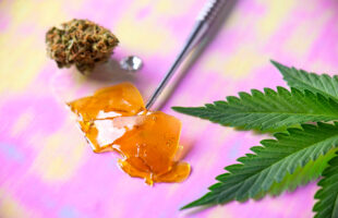 How to Buy an Electronic Dab Rig You’ll Love