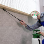 Termite Pest Control Insect Service In House