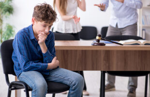 Custody Fights Are Not Just About the Kids
