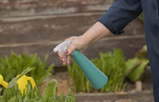 The Benefits and Options for Comprehensive Pest Control