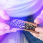 What Is a Blunt & How to Roll One? An In-depth Guide to Smoking a Blunt Marijuana Grinder Cannabis Use Concept. Close Up Of Man Rolling