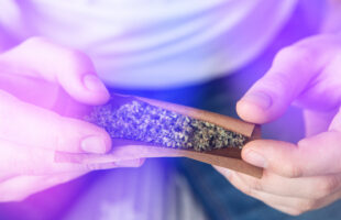 What Is a Blunt & How to Roll One? An In-depth Guide to Smoking a Blunt