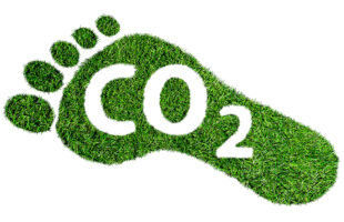 Improving Carbon Footprints: A Comprehensive Guide