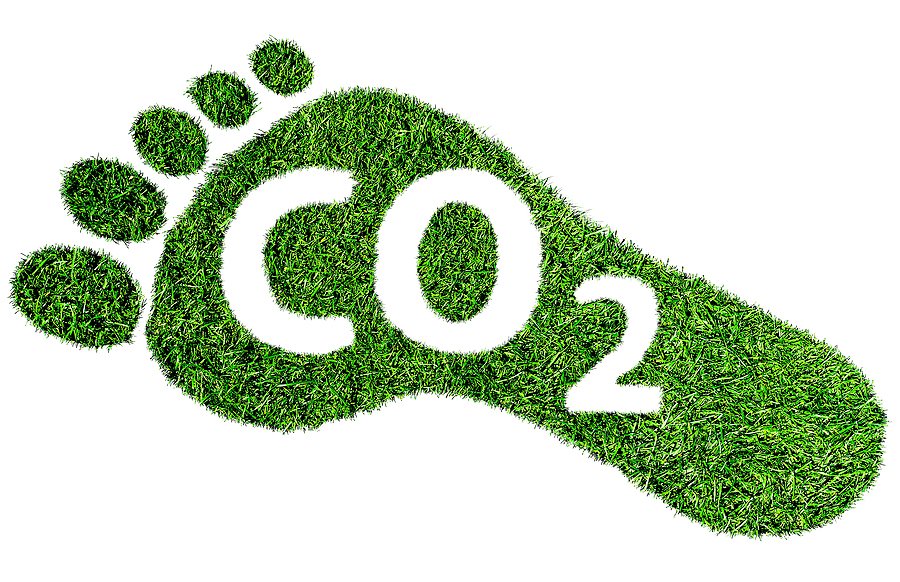 Improving Carbon Footprints: A Comprehensive Guide