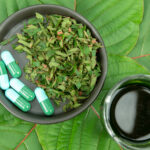 Mitragynina Speciosa Or Kratom
