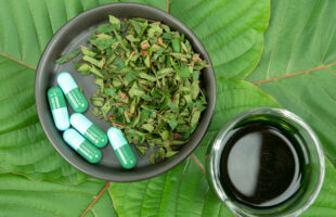 Kratom Strains for Beginners: Tips for Selecting Your First Variety