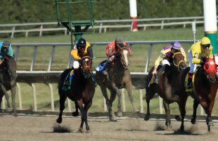 Could City Of Troy Be the Horse of a Generation?