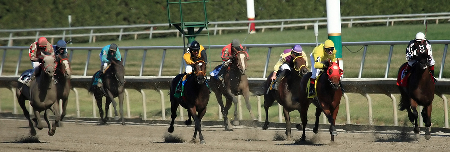 Could City Of Troy Be the Horse of a Generation?