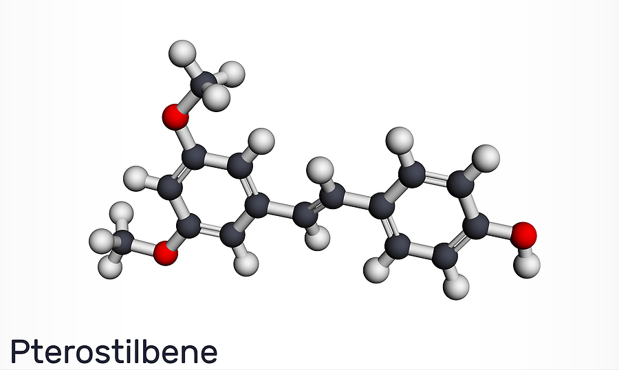 Why Pterostilbene Supplement Are Good For Your Health?