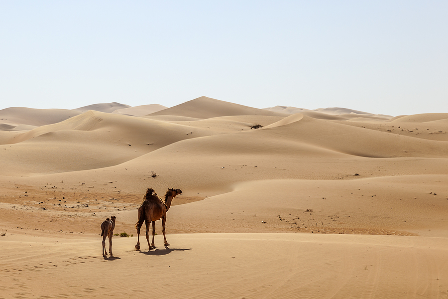 Gulf Tourism Unveils Cultural Gems & Modern Luxury