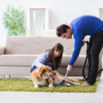 Husband cleaning house from dog fur