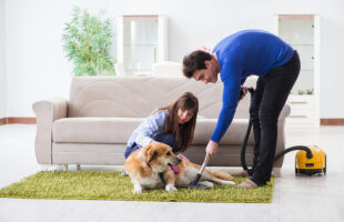 How to Keep Your Home Clean with a Dog Grooming Vacuum