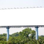 Understanding Billboard Advertising Costs: Essential Insights Before Investing