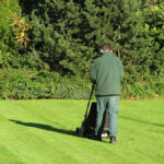 How to Choose the Right Parts for Your Motor Mower Repairs Cutting Grass