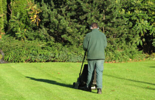 How to Choose the Right Parts for Your Motor Mower Repairs