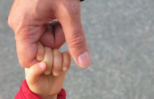 How to Choose the Right Father Rights Lawyer for Your Needs