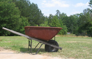 10 Ways a Wheelbarrow Can Save You Time and Energy in the Garden