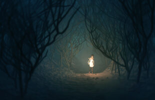 Exploring the Wilderness: Day vs. Night